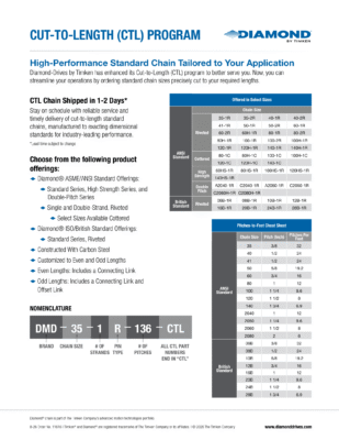 Diamond Cut-to-Length Program brochure thumbnail