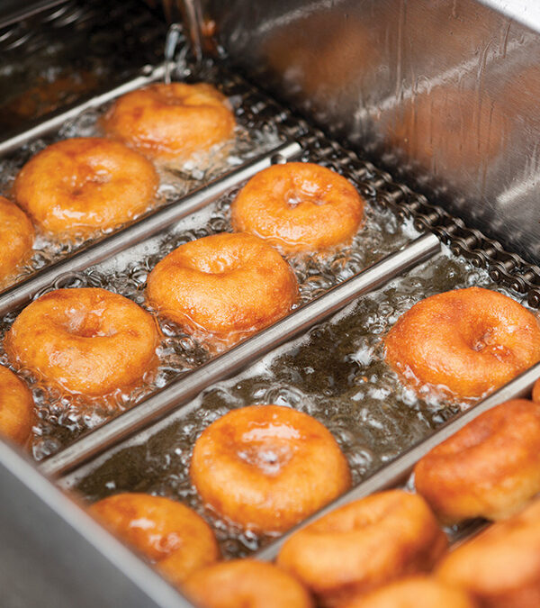 Diamond Donut Fryer Case Study