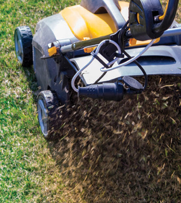 Diamond Lawn Care Equipment Case Study