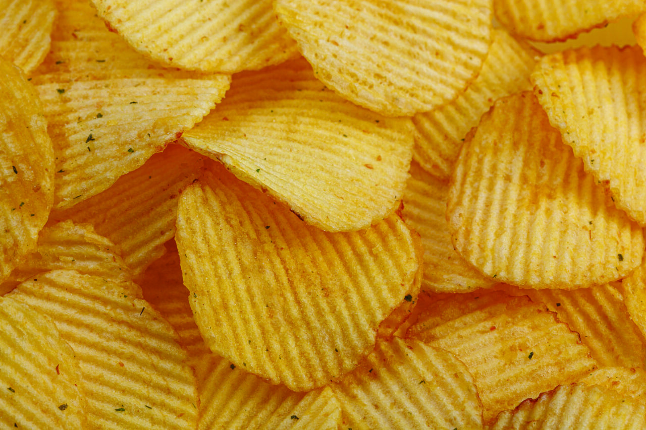 Drives Potato Chip Processing Case Study Diamond Drives by Timken
