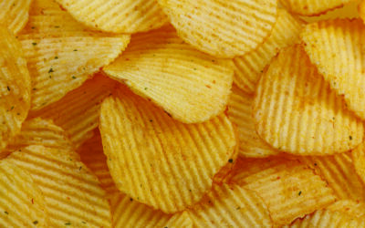 Drives Potato Chip Processing Case Study
