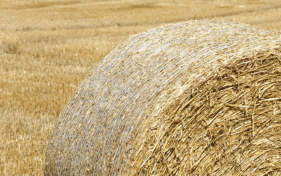 Diamond Round Baler Case Study