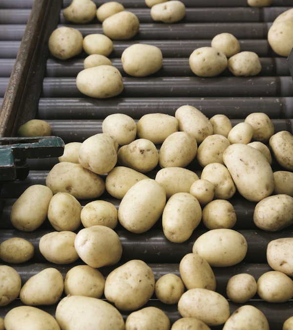 Drives Potato Chip Manufacturer Case Study