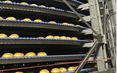 Drives® Chp® Chains Keep Cooling Towers Moving Where Chain Lubrication Isn’t Possible Case Study