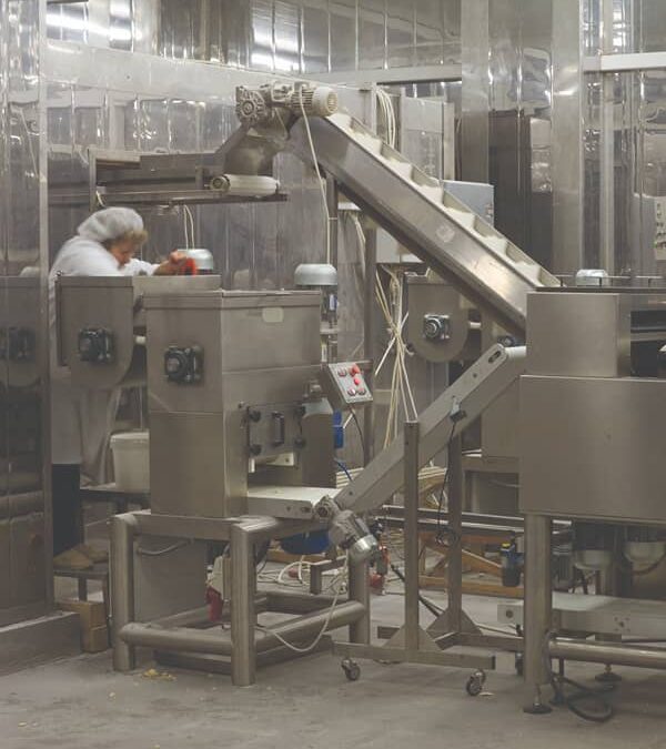 Drives Incline Conveyor Case Study